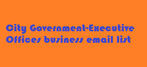 City Government-Executive Offices business email list