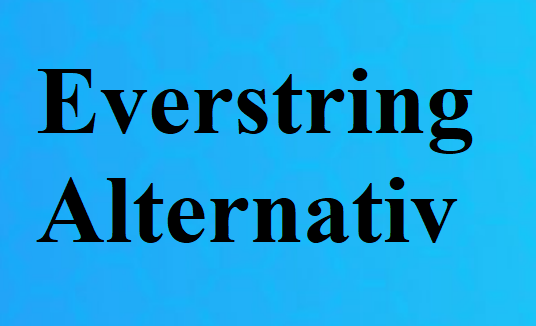 Everstring Alternatives