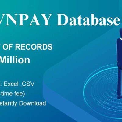 VNPay Data