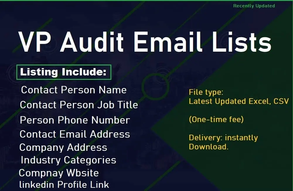 VP Audit Email List